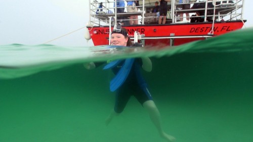 Destin Snorkel in the Water