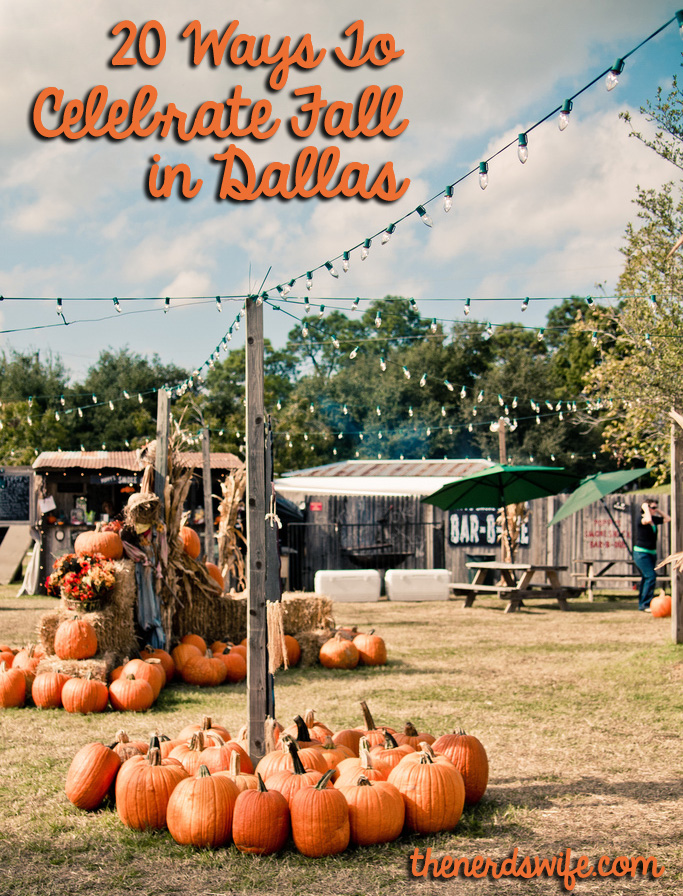 20 Things to Do in Dallas This Fall