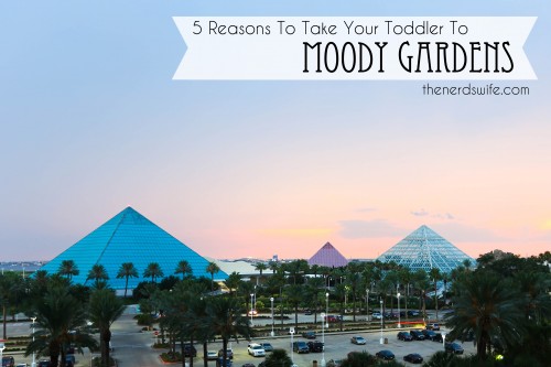 5 Reasons To Take Your Toddler To Moody Gardens Cclgalv The