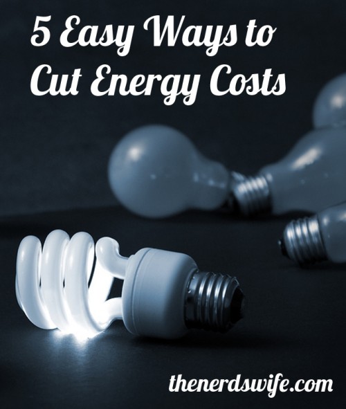 5 Easy Ways to Cut Energy Costs