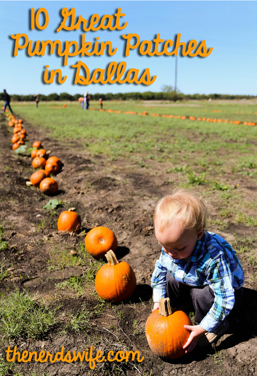 Dallas Pumpkin Patches