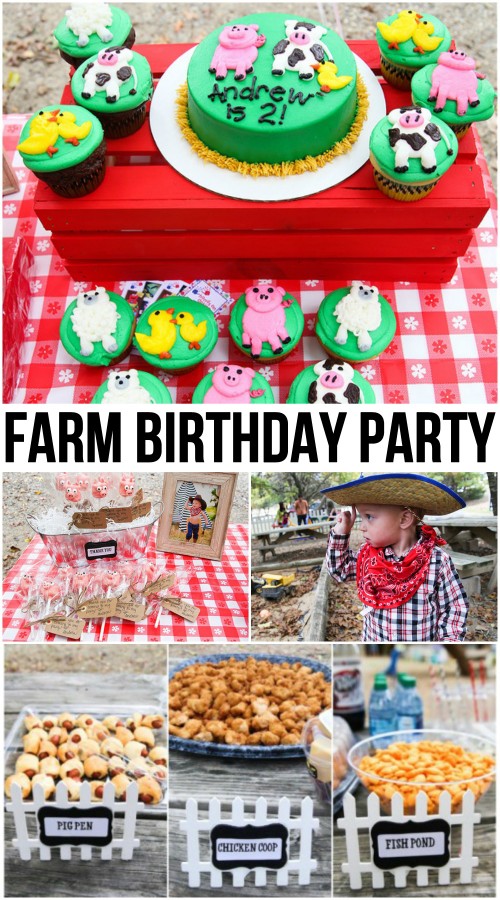 Farm Birthday Party