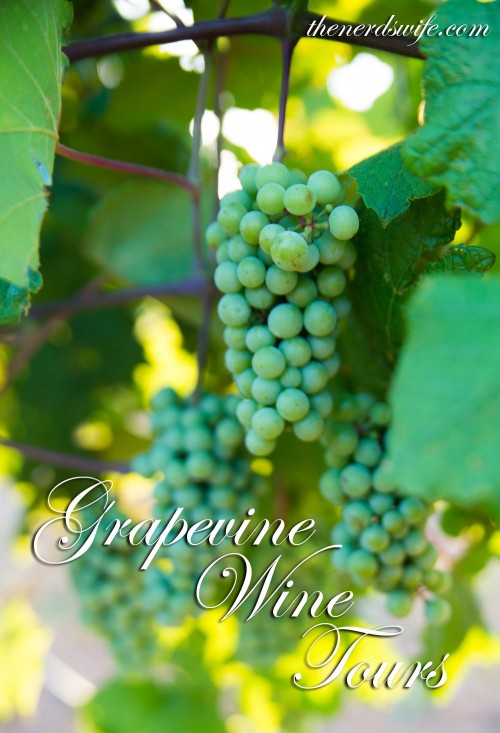 Grapevine Wine Tours