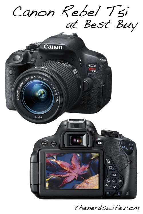 digital slr camera best buy