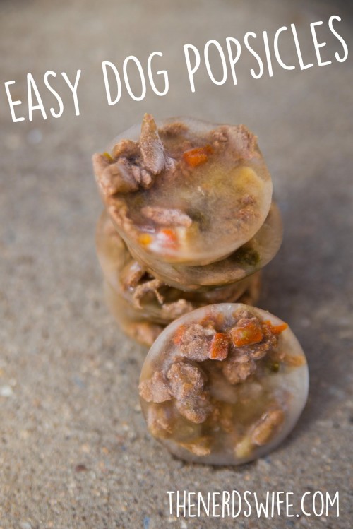 Dog Popsicles: 4 Recipes That Will Keep Your Pup Cool All Summer Long -  DodoWell - The Dodo