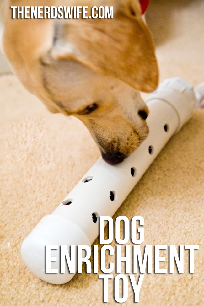 Dog Enrichment Toy