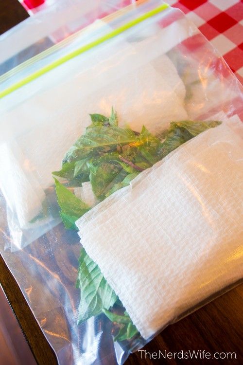 Add a paper towel to fresh herbs to soak up excess moisture.