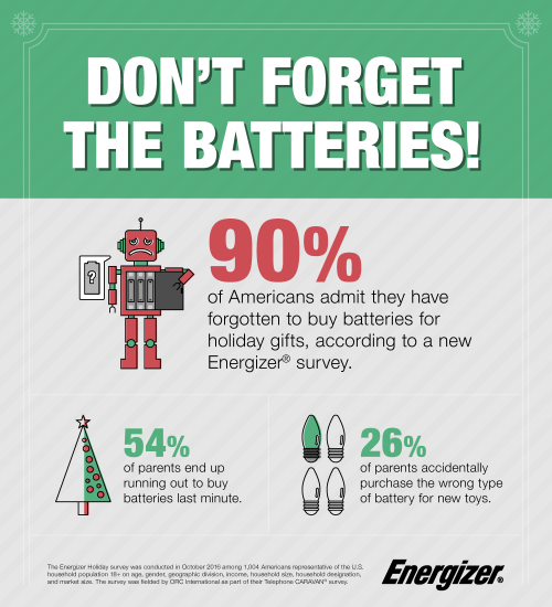 Holiday Batteries Survey