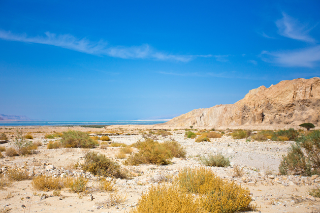 Judean Desert Jeep Tour