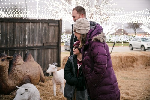 Daystar Christmas Nativity