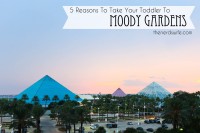 5 Reasons To Take Your Toddler To Moody Gardens #CCLGALV